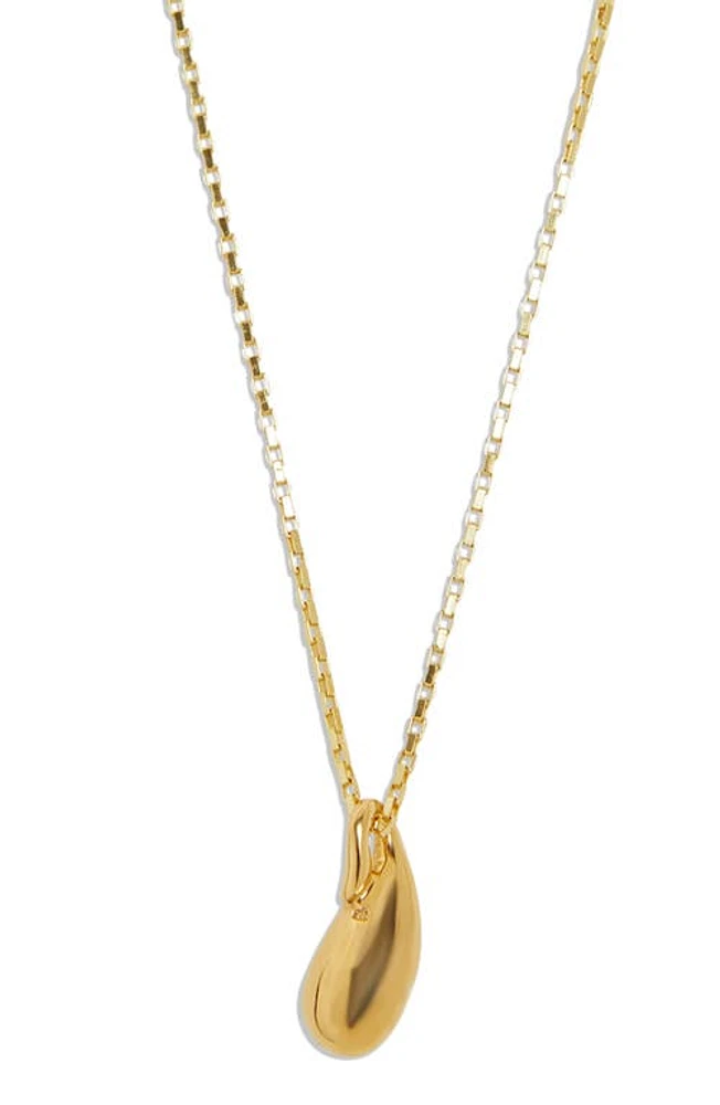 Argento Vivo Sterling Silver Bean Pendant Paper Clip Chain Necklace in Gold at Nordstrom