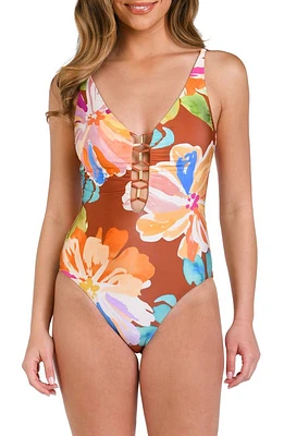 La Blanca Saharan Sands One-Piece Swimsuit Cinnamon at Nordstrom,