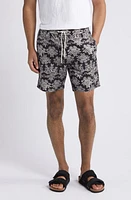 NN07 Gregor 5210 Shorts Black at Nordstrom,