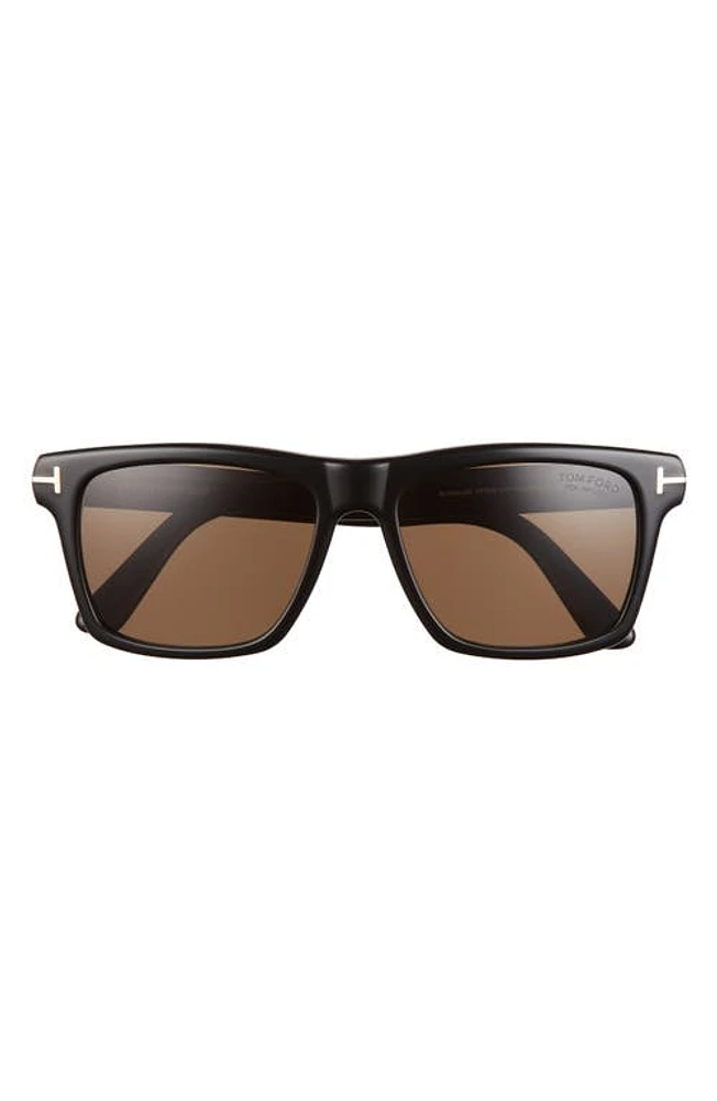 TOM FORD Buckley-02 56mm Square Polarized Sunglasses in Black at Nordstrom