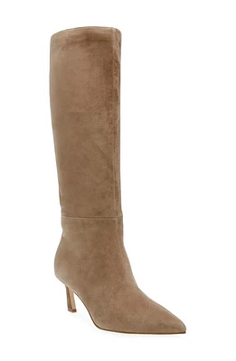 Steve Madden Lavan Pointed Toe Knee High Boot Oatmeal Suede at Nordstrom,