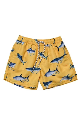 Snapper Rock Sunrise Shark Volley Board Shorts Yellow at Nordstrom,