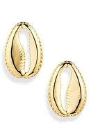 Éliou Concha Statement Stud Earrings in Gold at Nordstrom