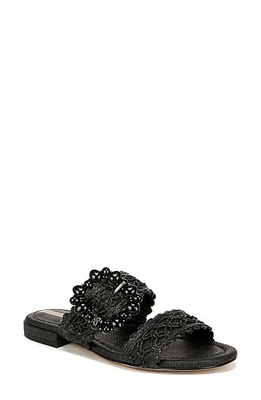 Sam Edelman Elisa Braided Strap Sandal Black at Nordstrom,