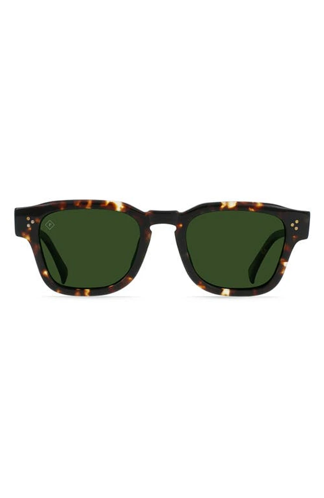 RAEN Rece 51mm Polarized Square Sunglasses in Brindle Tortoise /Green Polar at Nordstrom