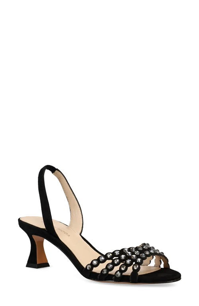 Pelle Moda Felice Sandal Black at Nordstrom,