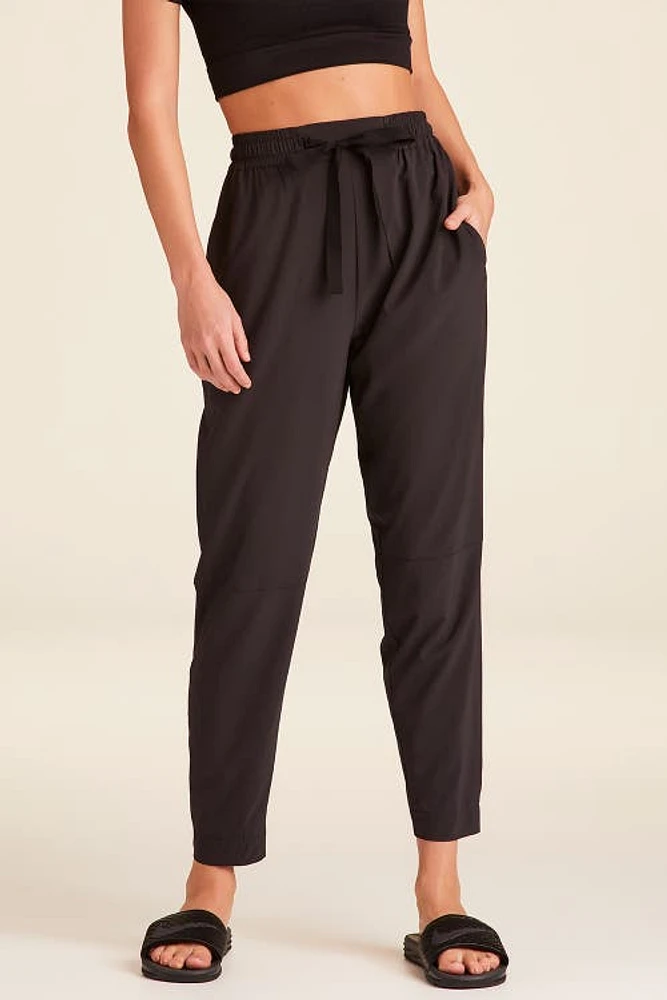 ALALA Commuter Pant at Nordstrom, 28