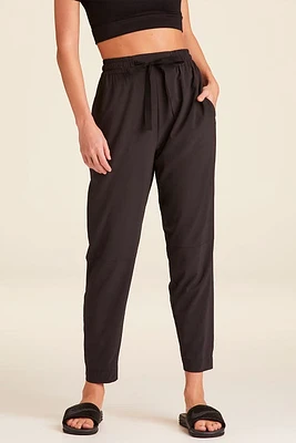 ALALA Commuter Pant at Nordstrom, 28