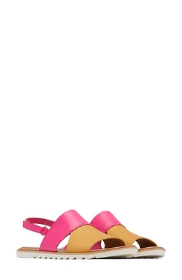 SOREL Ella II Slingback Sandal Pilsner/Fuchsia Fizz at Nordstrom,