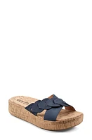 Earth Scotti Platform Slide Sandal at Nordstrom,