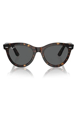 Ray-Ban Wayfarer Way 54mm Oval Sunglasses in Havana at Nordstrom