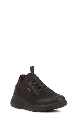 Geox Kids' Sprintye Sneaker at Nordstrom