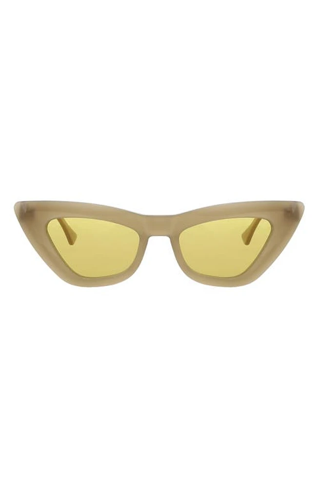 Banbé The Helena Polarized Cat Eye Sunglasses in Havana-Auburn at Nordstrom