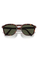 Persol 55mm Polarized Square Sunglasses in Havana at Nordstrom