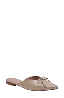 Linea Paolo Aylin Mule at Nordstrom,