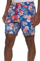 Robert Graham Hartman Swim Trunks Blue Multi at Nordstrom,