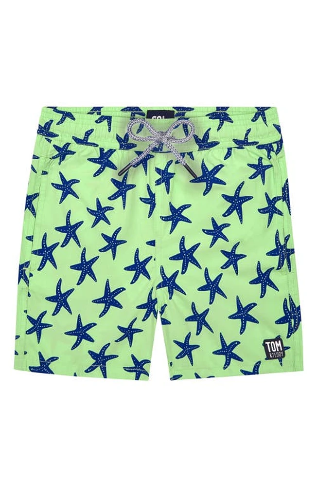 Tom & Teddy Kids' Starfish Print Swim Trunks Pale Green at Nordstrom,