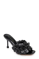 Dee Ocleppo London Slide Sandal at Nordstrom,