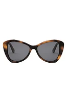 CELINE Butterfly 55mm Sunglasses in Blonde Havana /Smoke at Nordstrom