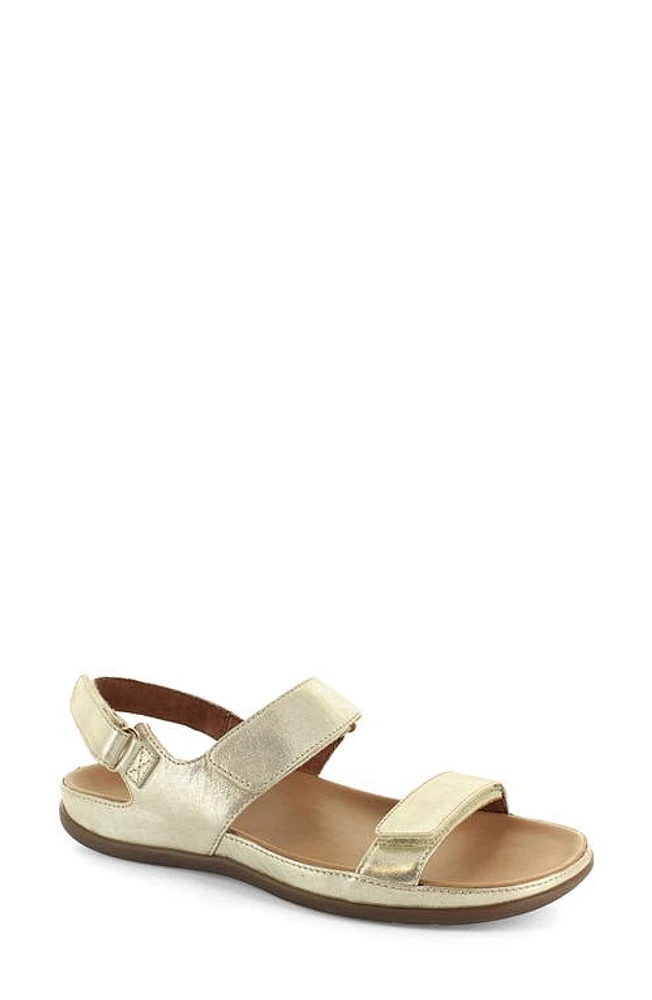 STRIVE Kona Sandal in Gold Metallic at Nordstrom, Size 9