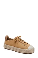 Linea Paolo Silva Espadrille Sneaker at Nordstrom,