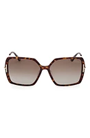 TOM FORD Joanna 59mm Polarized Butterfly Sunglasses in Dark Havana /Brown Polarized at Nordstrom