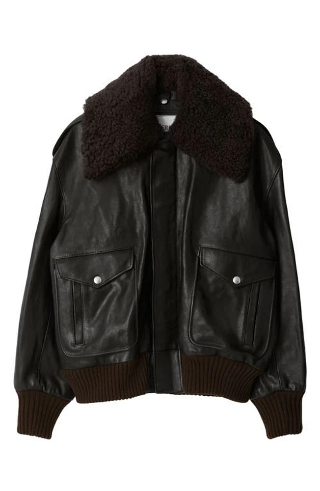 burberry Leather Bomber Jacket with Removable Genuine Shearling Trim Otter at Nordstrom,