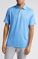 Peter Millar Skull One Performance Golf Polo at Nordstrom,