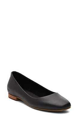 TOMS Briella Ballet Flat at Nordstrom