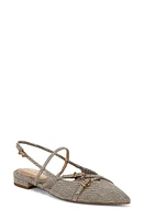 Circus NY by Sam Edelman Lindley Pointed Toe Slingback Sandal Brown/Natural at Nordstrom,