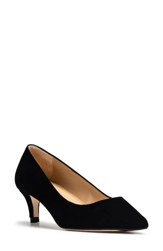 Jon Josef Tina Pointed Toe Pump Black Suede at Nordstrom,