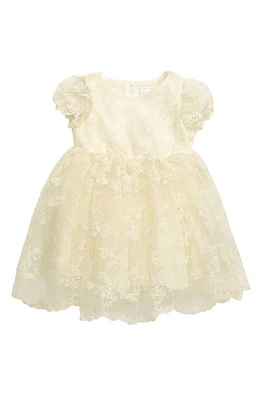 Popatu Floral Embroidered Organza Fit & Flare Dress in Cream at Nordstrom, Size 24M