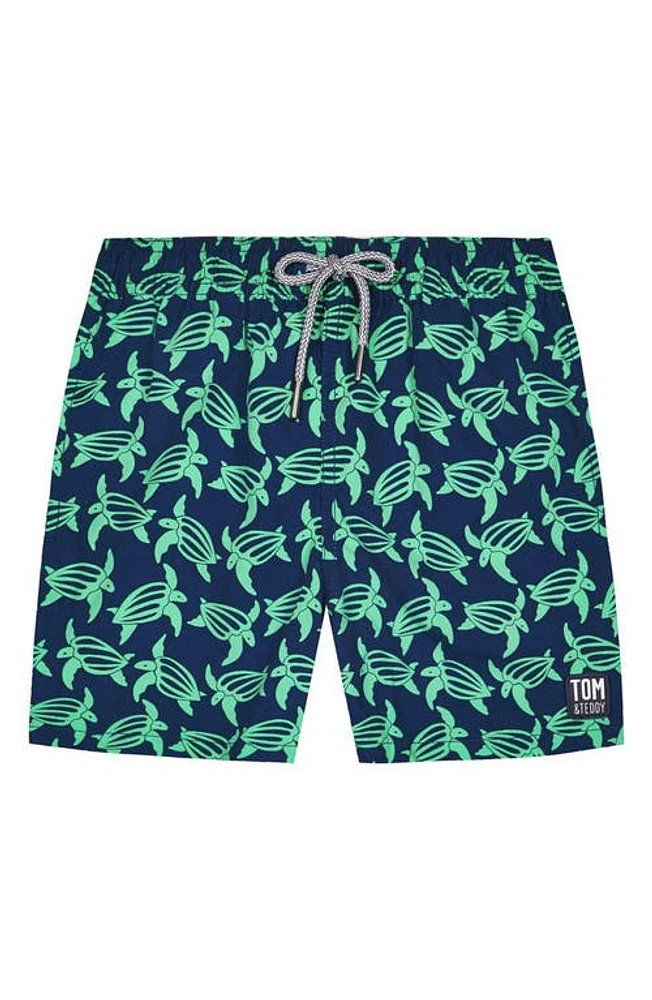 Tom & Teddy Kids' Turtle Print Swim Trunks Navy Green at Nordstrom,