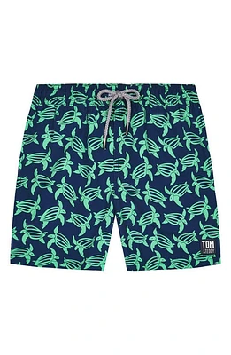 Tom & Teddy Kids' Turtle Print Swim Trunks Navy Green at Nordstrom,