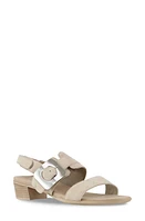 Munro Ashlin Slingback Sandal Beige Suede at Nordstrom,