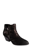 David Tate Bellview Bootie Black at Nordstrom,