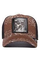 Goorin Bros. Bring the Ruckus Trucker Hat in Brown at Nordstrom