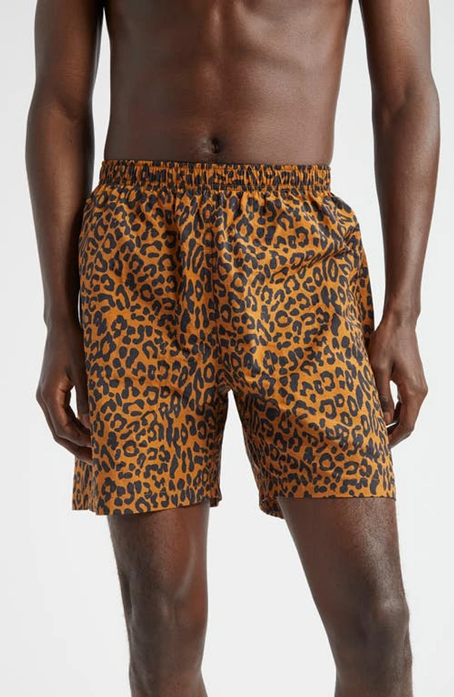 Noah Leopard Print Nylon Swim Trunks at Nordstrom,