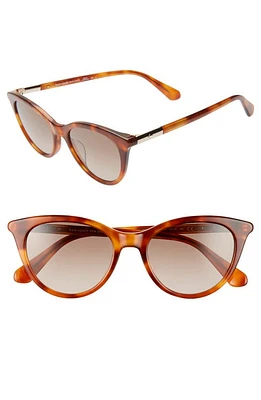 Kate Spade New York janalynns 51mm gradient cat eye sunglasses in Brown at Nordstrom