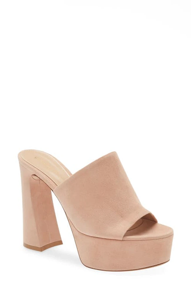 Gianvito Rossi Platform Mule Peach at Nordstrom,