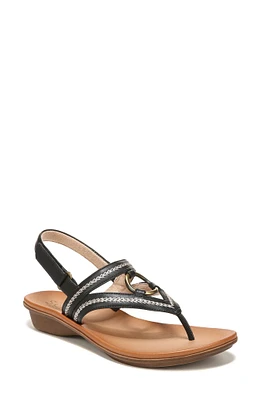 Sunny Slingback Thong Sandal