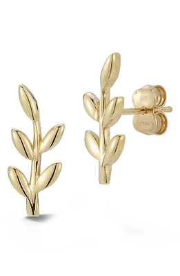 14K Yellow Gold Branch Stud Earrings