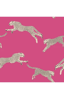 Cheetah Print Wallpaper