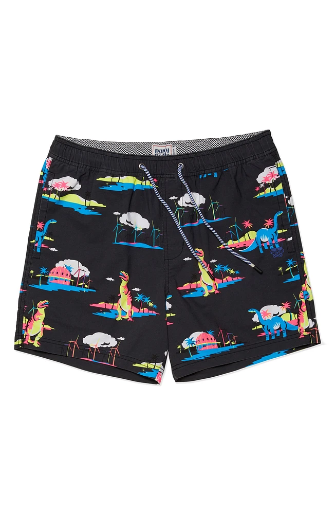 Print Swim Trunks