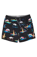 Print Swim Trunks