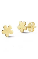 14K Gold Flower Stud Earrings