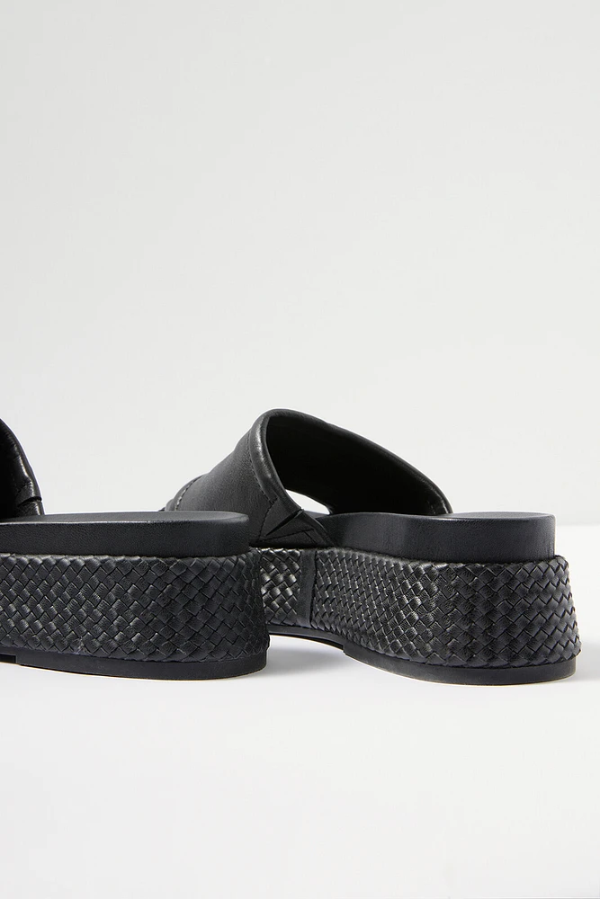 Wimsyn Flatform