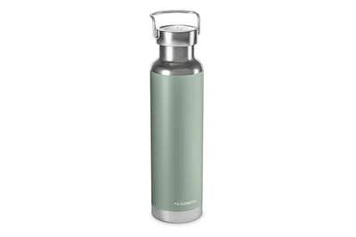 stainless steel insulated bottle - 22oz