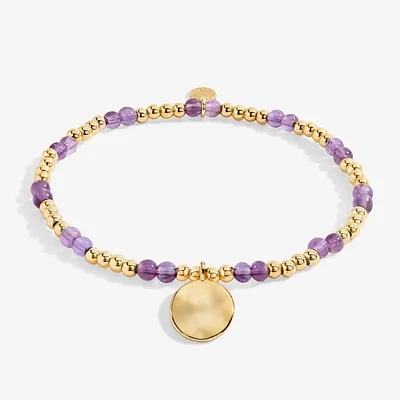 A Little Birthstone February Amethyst - Gold