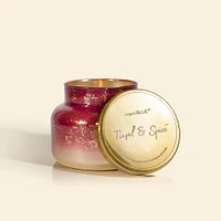 Tinsel & Spice Signature Jar - 19 oz